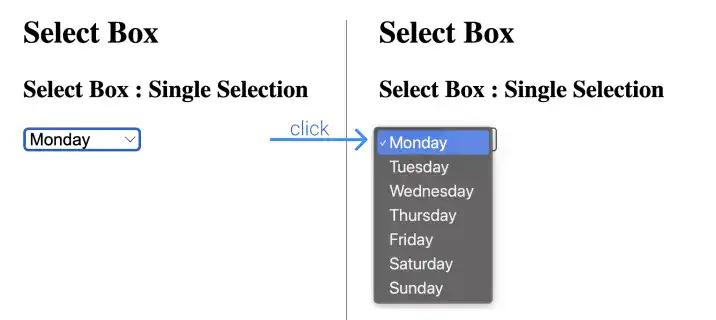 Select Box - single selection