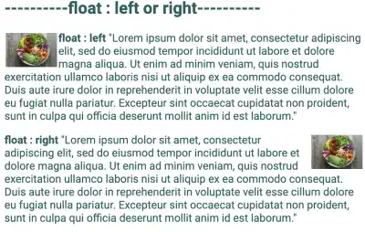 The float property example