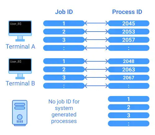 Job ID and Process ID