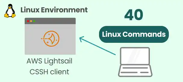 Linux Environment and Linux Command