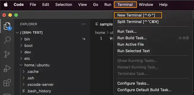 Open a Terminal and check the SSH Remote Login Environment on VS Code: Step 1
