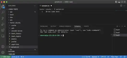 Open a Terminal and check the SSH Remote Login Environment on VS Code: Step 2
