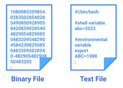 Text File and Binary File