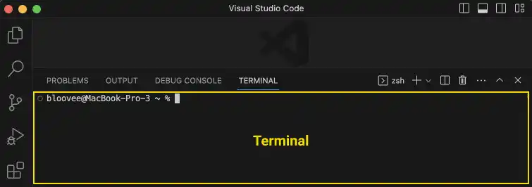 Install VS Code and Launch Terminal with VS code on Mac OS: Step 7