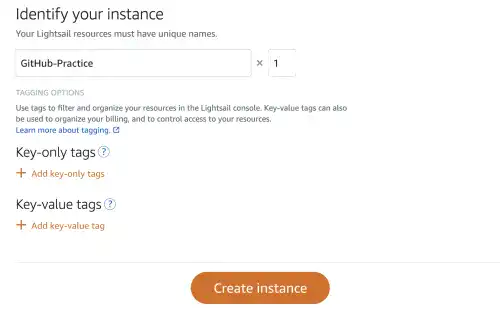 Set up an AWS Lightsail instance to launch a Linux server: Step 4