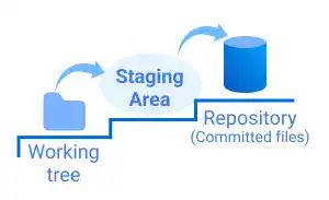 Working Tree, Staging Area, and Repository