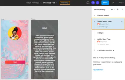 Figma Version History UI - View Only