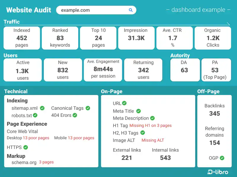 Website Audit