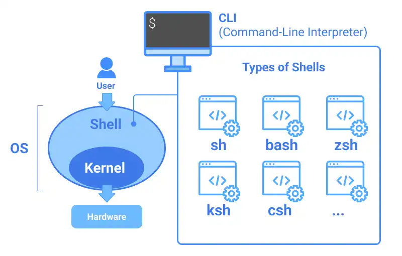 Kernel and Shell