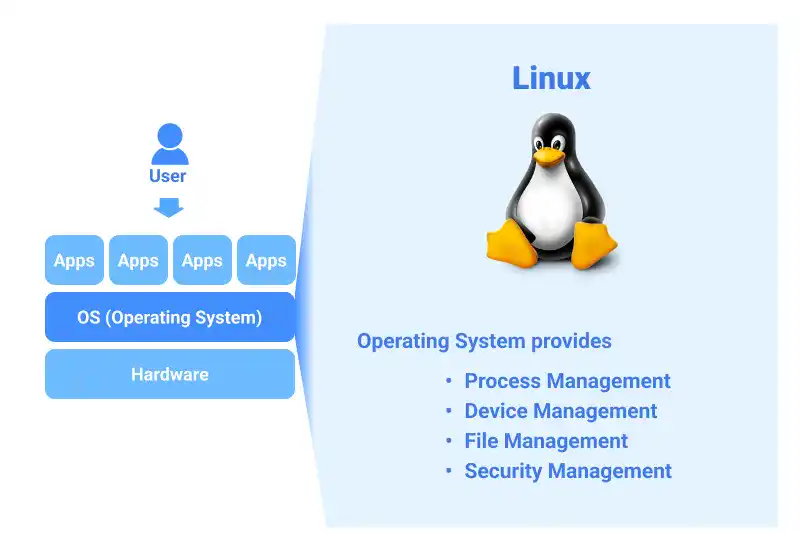 What Is Linux?